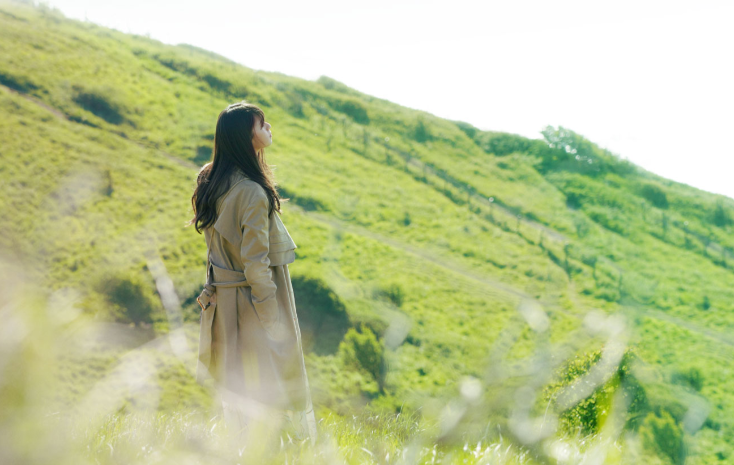 不知何时，在这里 Documentary of 乃木坂46剧照的剧照