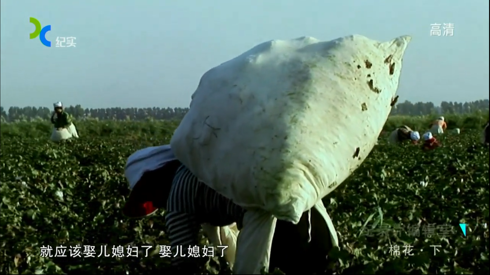 棉花剧照的剧照