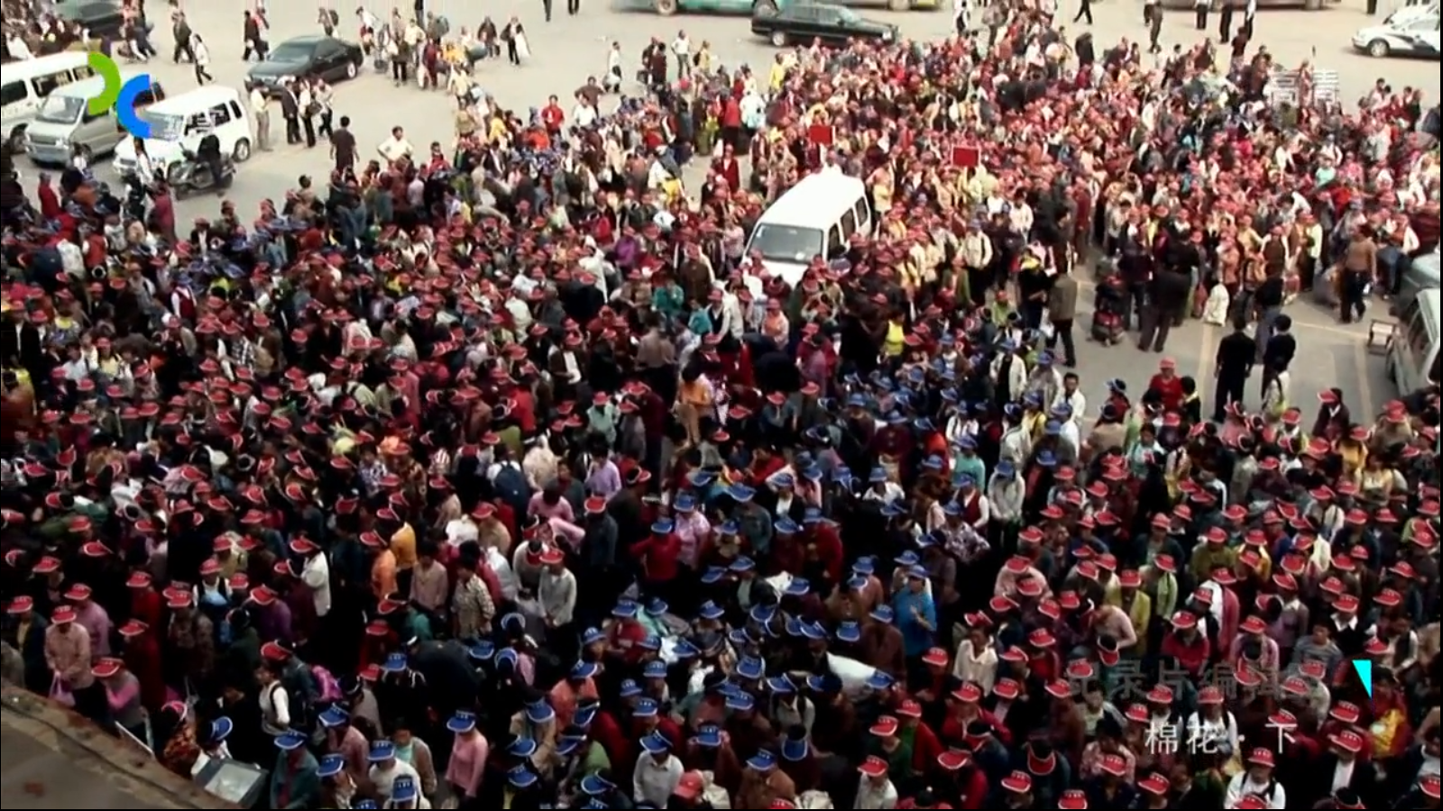 棉花剧照的剧照