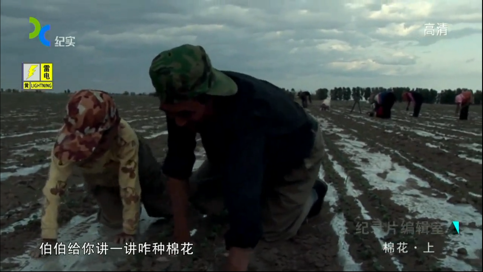 棉花剧照的剧照