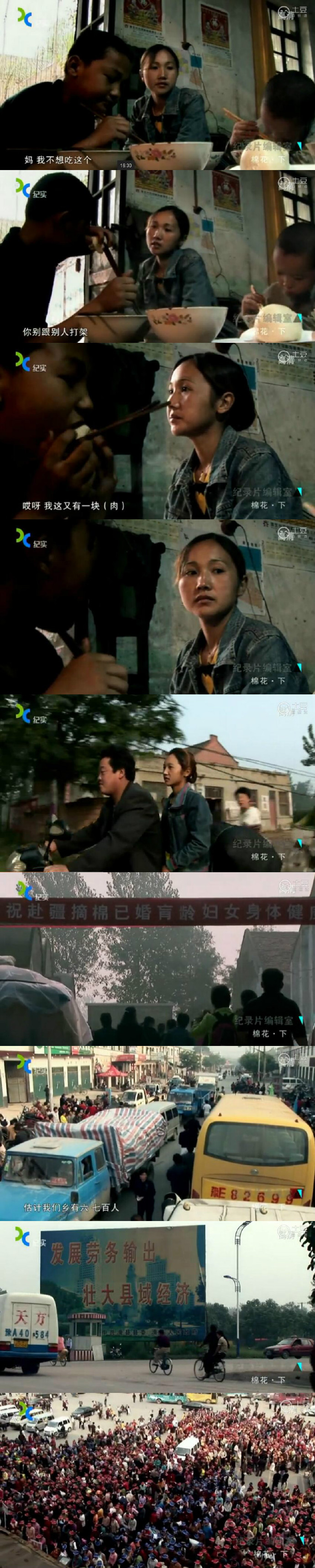 棉花剧照的剧照