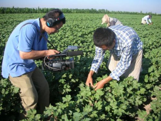 棉花剧照的剧照