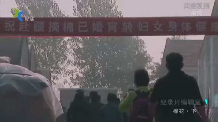 棉花剧照的剧照