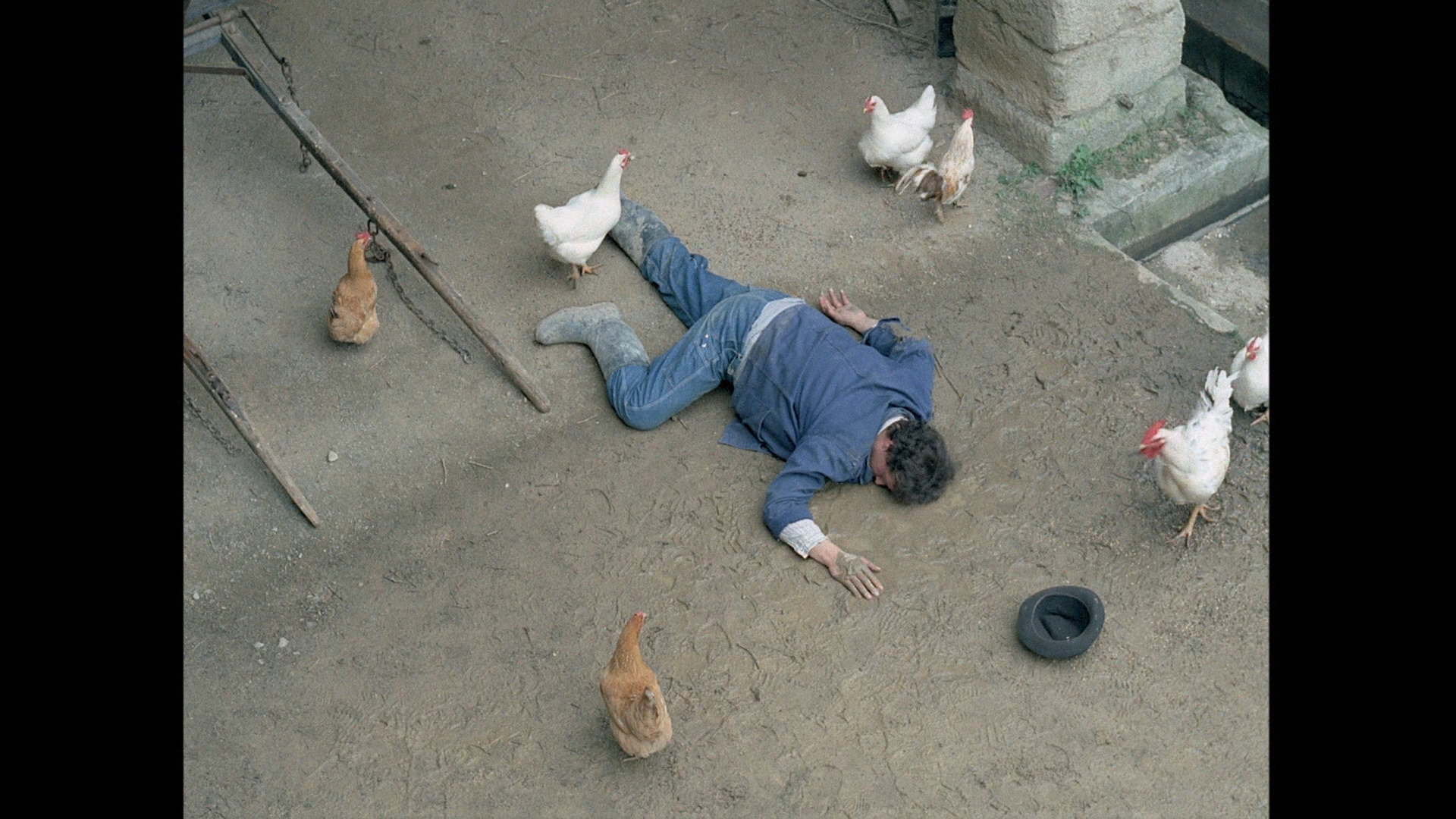 美女如我剧照的剧照