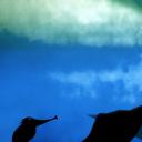 王子与公主剧照