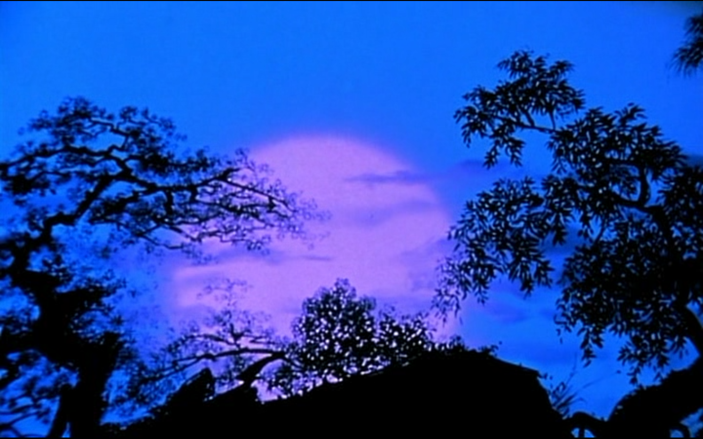 王子与公主剧照的剧照