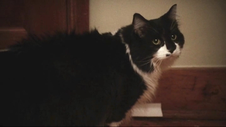 菲利普的生活剧照的剧照