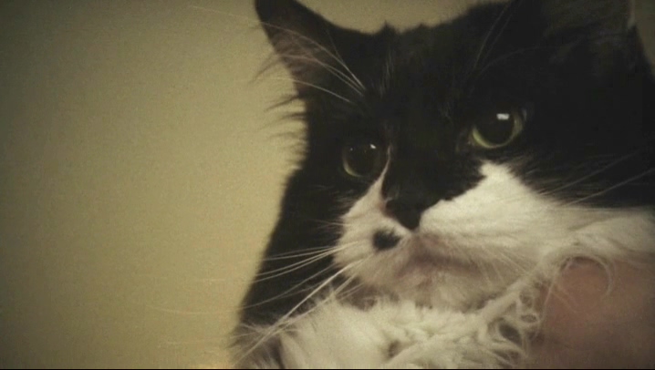 菲利普的生活剧照的剧照