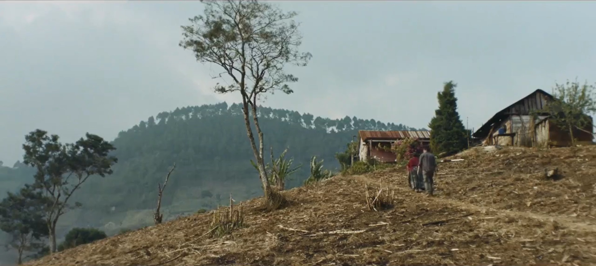 我们的母亲剧照的剧照