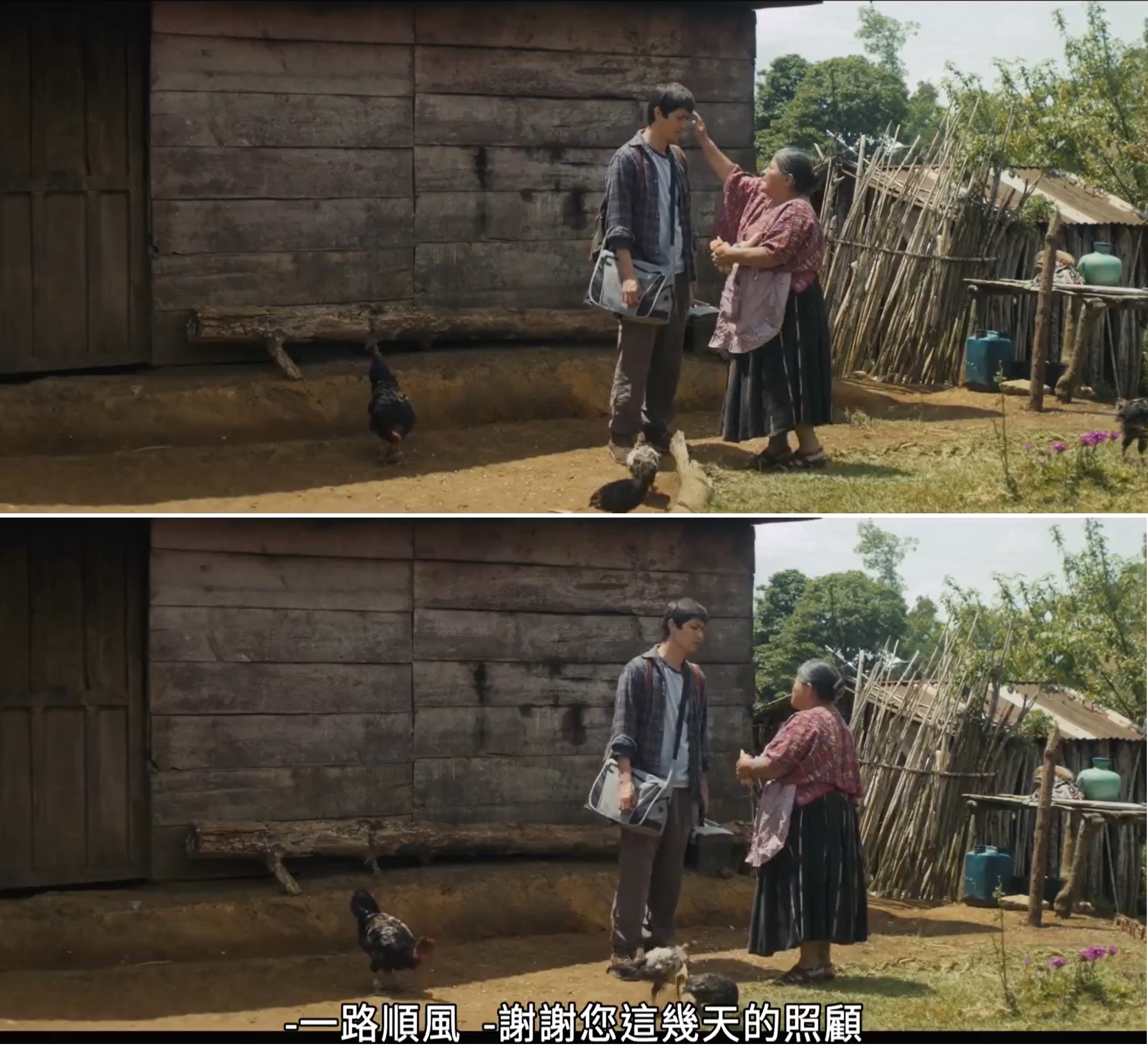 我们的母亲剧照的剧照