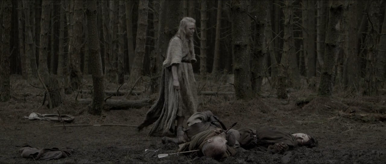 维京传奇：最黑暗的一天剧照的剧照