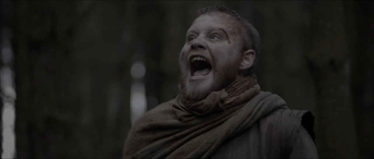 维京传奇：最黑暗的一天剧照的剧照