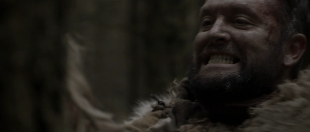 维京传奇：最黑暗的一天剧照的剧照