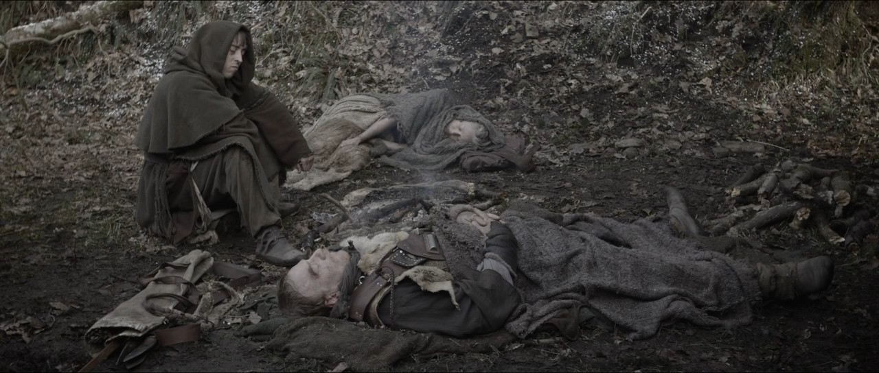 维京传奇：最黑暗的一天剧照的剧照