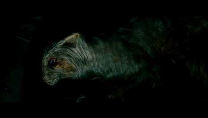 重返猛鬼屋剧照的剧照