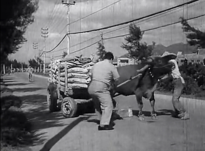 王哥柳哥游台湾（上）剧照的剧照