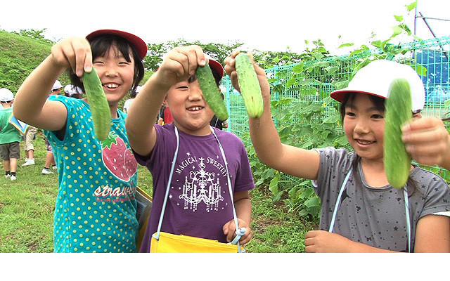 旧食材新食谱剧照的剧照