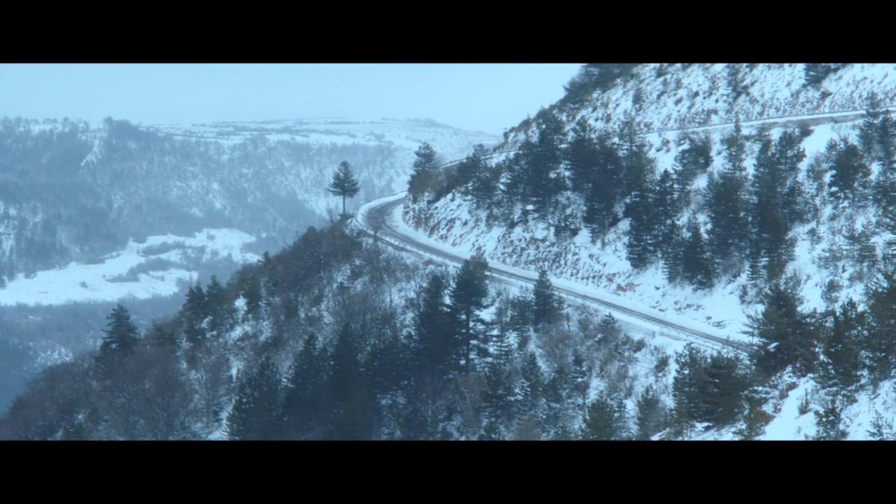 只有野兽剧照的剧照