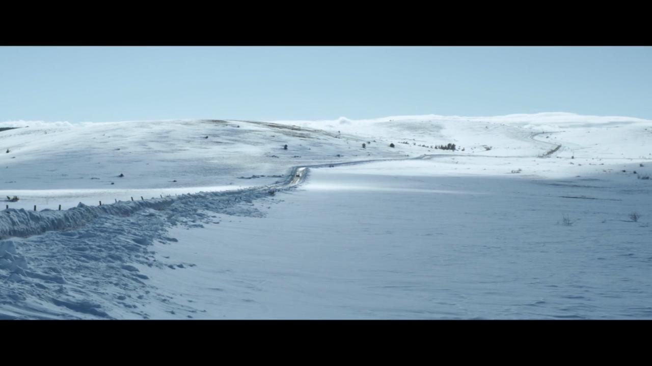 只有野兽剧照的剧照