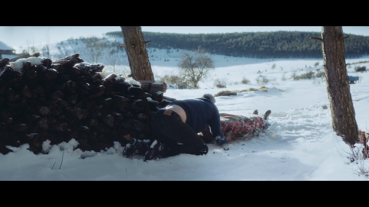 只有野兽剧照的剧照