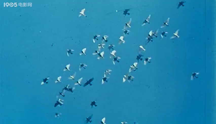 火焰山来的鼓手剧照的剧照