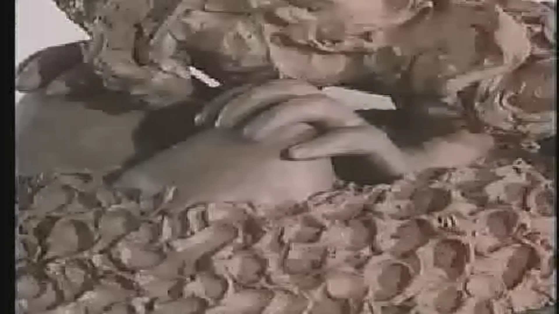 对话的维度剧照的剧照