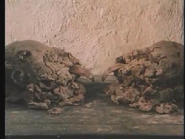 对话的维度剧照的剧照