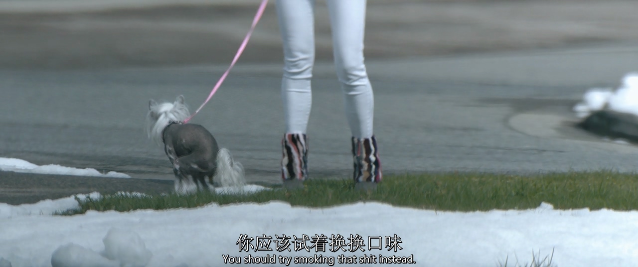 穷追不舍剧照的剧照