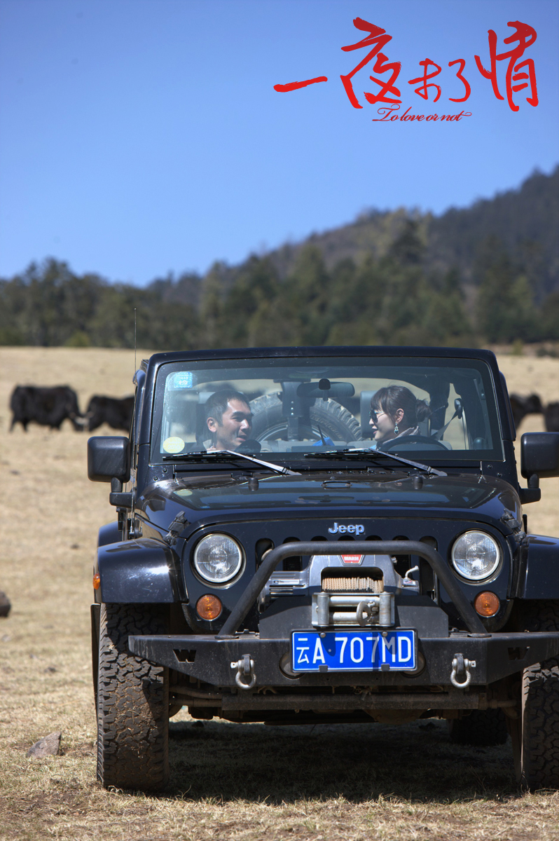 一夜未了情剧照的剧照
