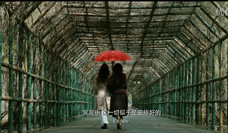 一夜未了情剧照的剧照