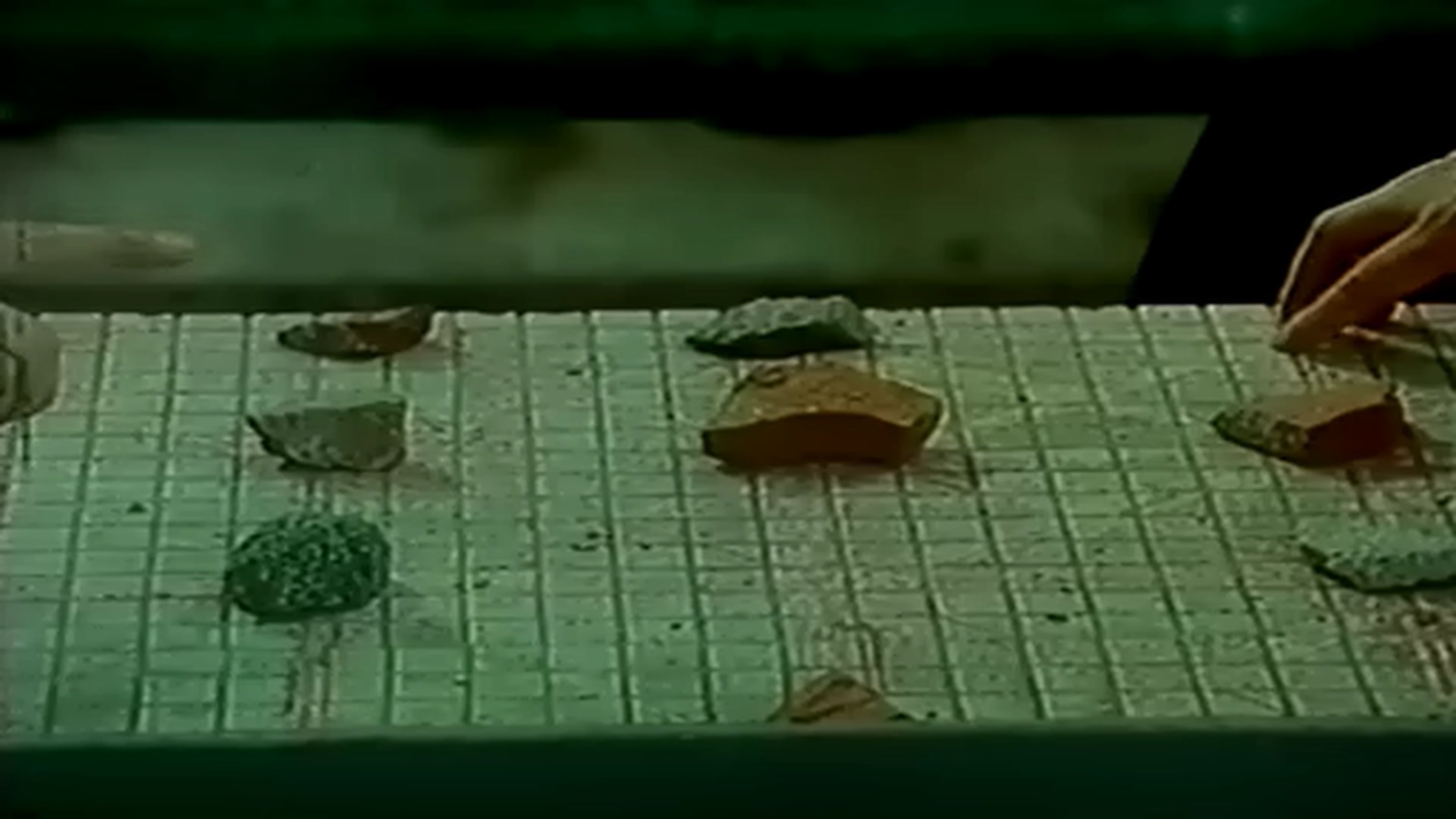 今年夏天剧照的剧照