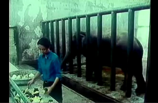 今年夏天剧照的剧照