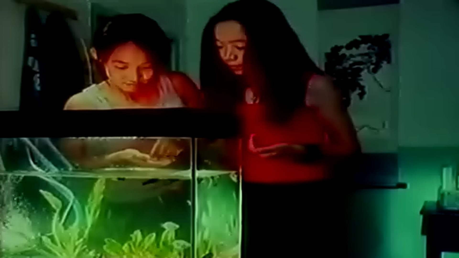 今年夏天剧照的剧照