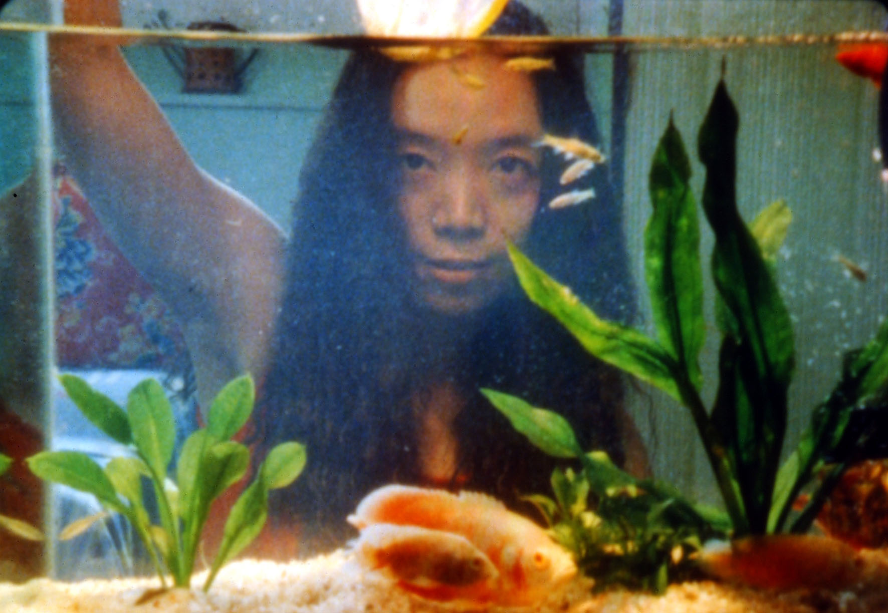 今年夏天剧照的剧照