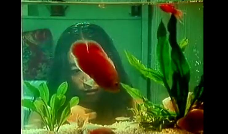 今年夏天剧照的剧照