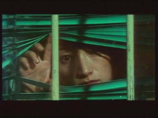 今年夏天剧照的剧照