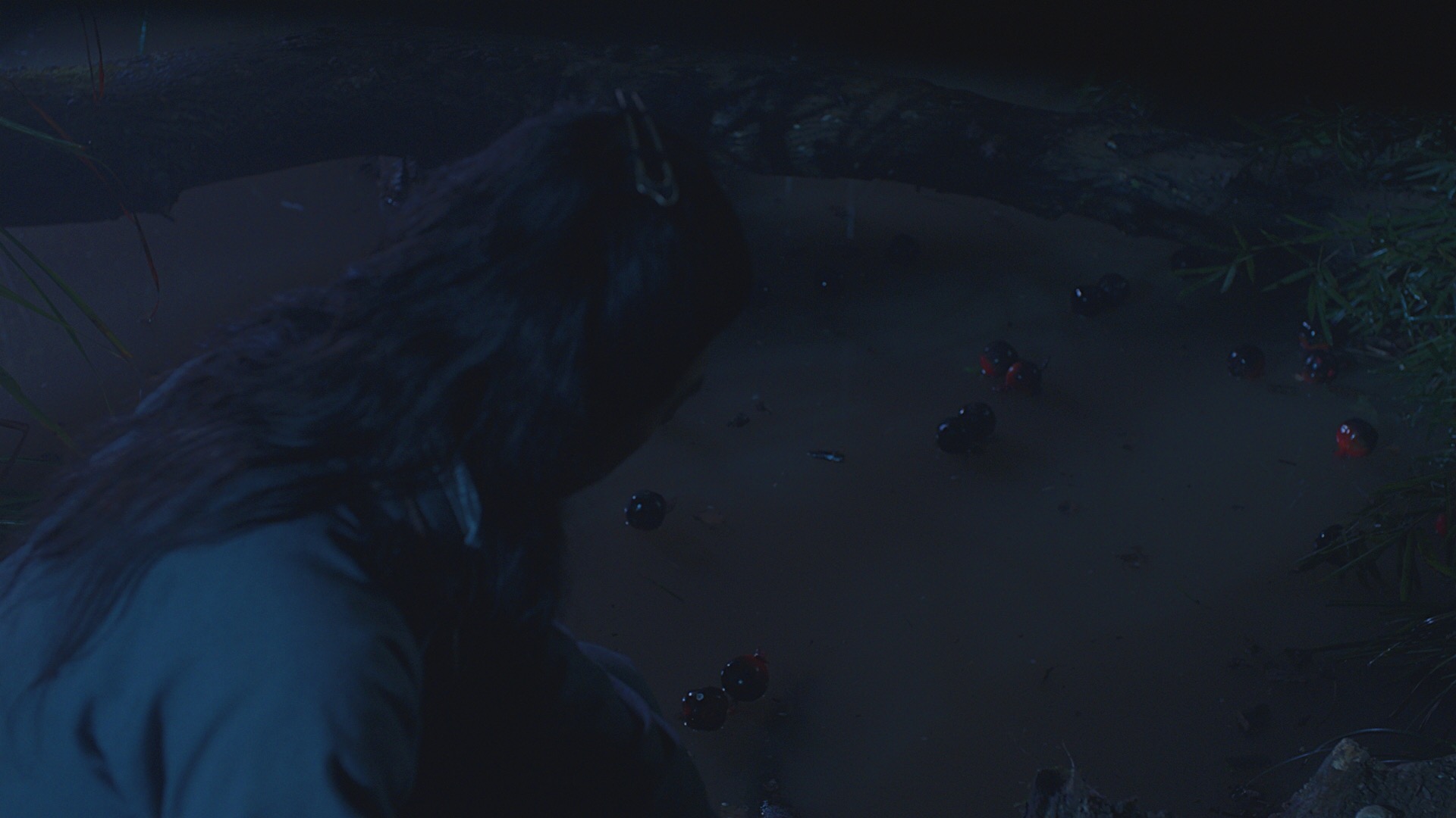 野王剧照的剧照