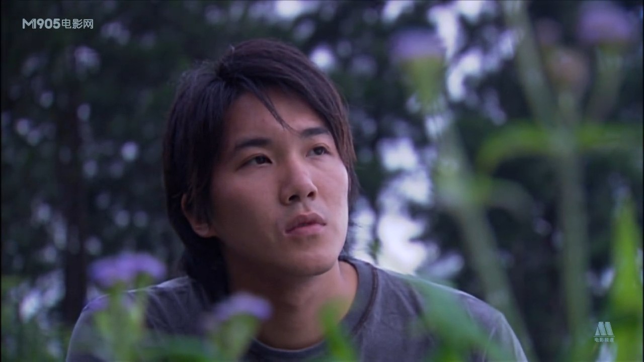 洪拳咏春剧照的剧照