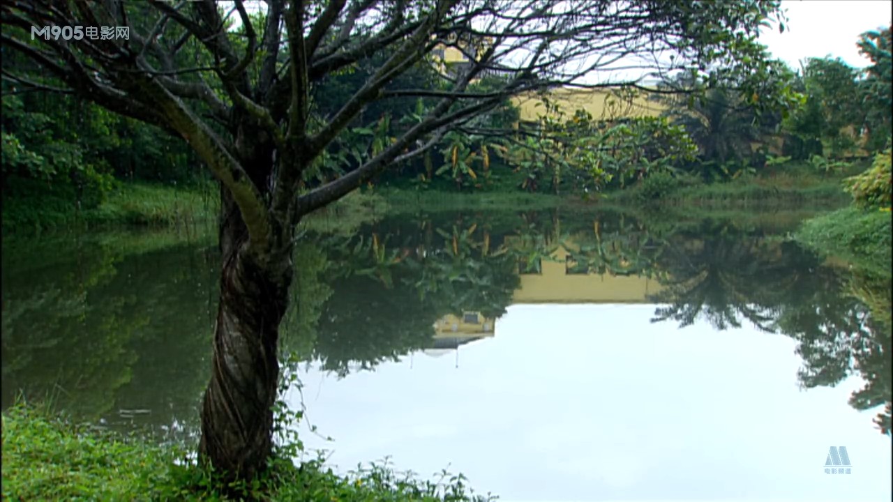 洪拳咏春剧照的剧照