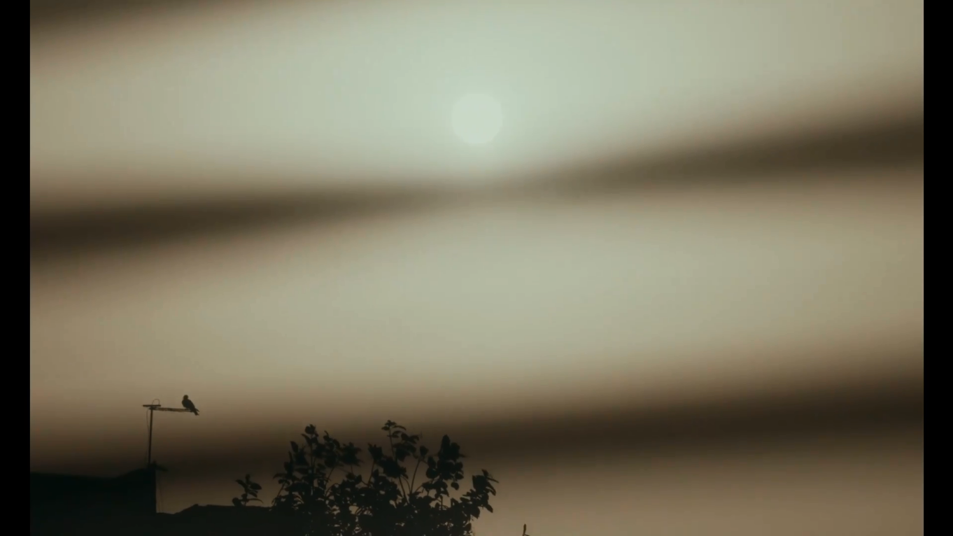 大西洋剧照的剧照