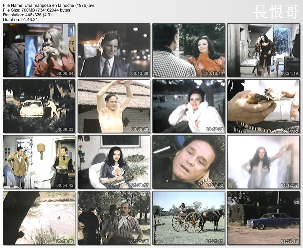 午夜蝴蝶剧照的剧照