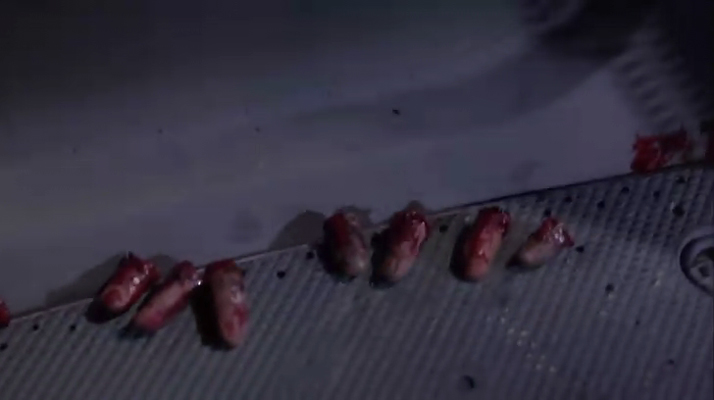 潜龙轰天2剧照的剧照