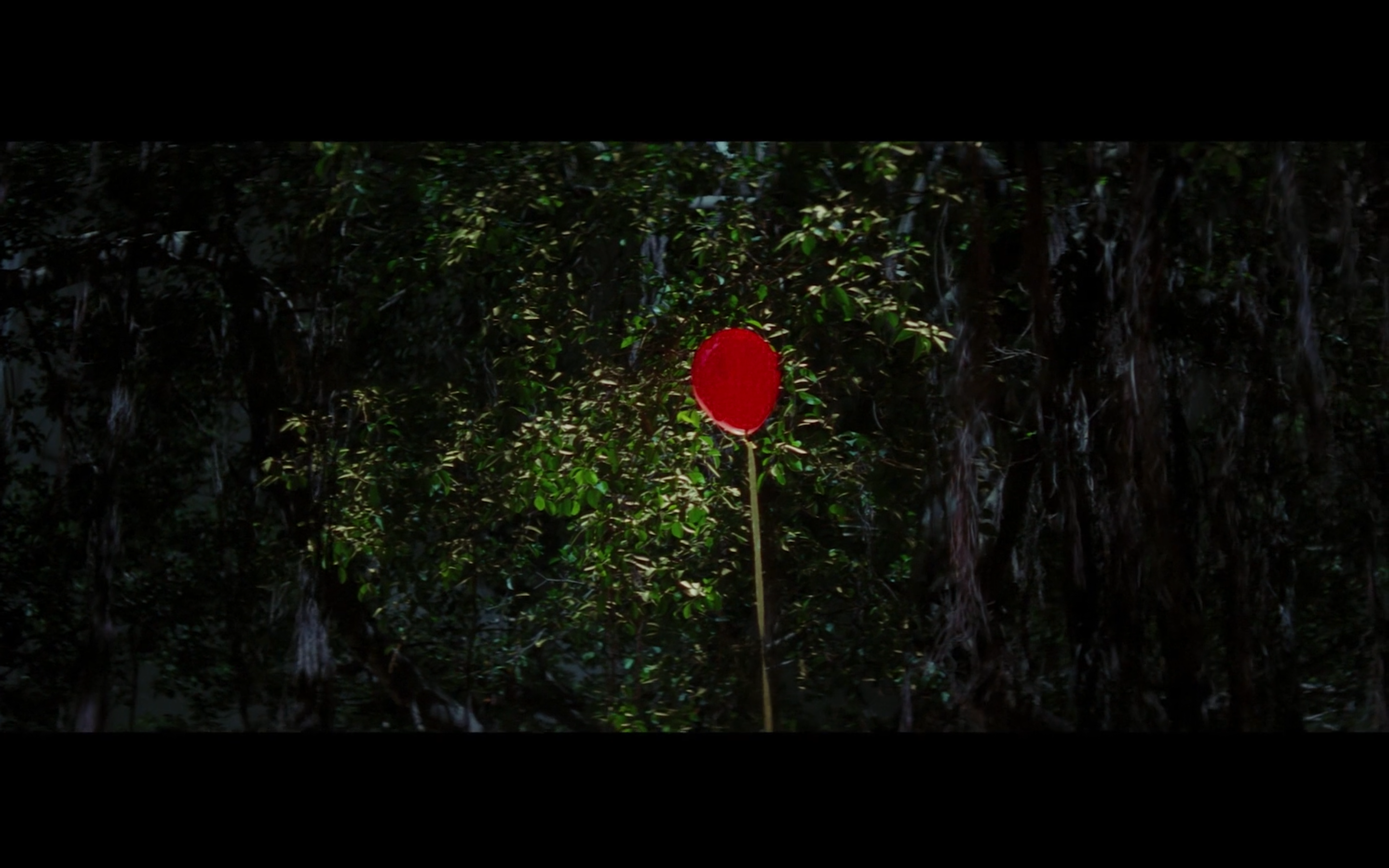 柔道龙虎榜剧照的剧照