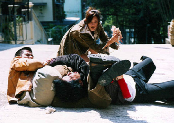 柔道龙虎榜剧照的剧照