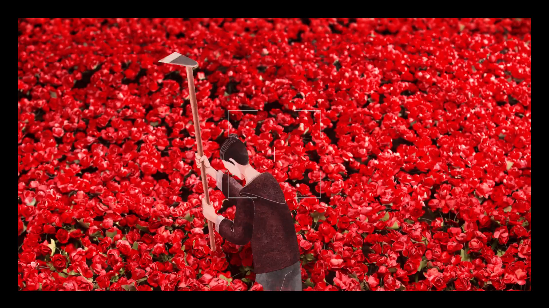 玫瑰公寓剧照的剧照