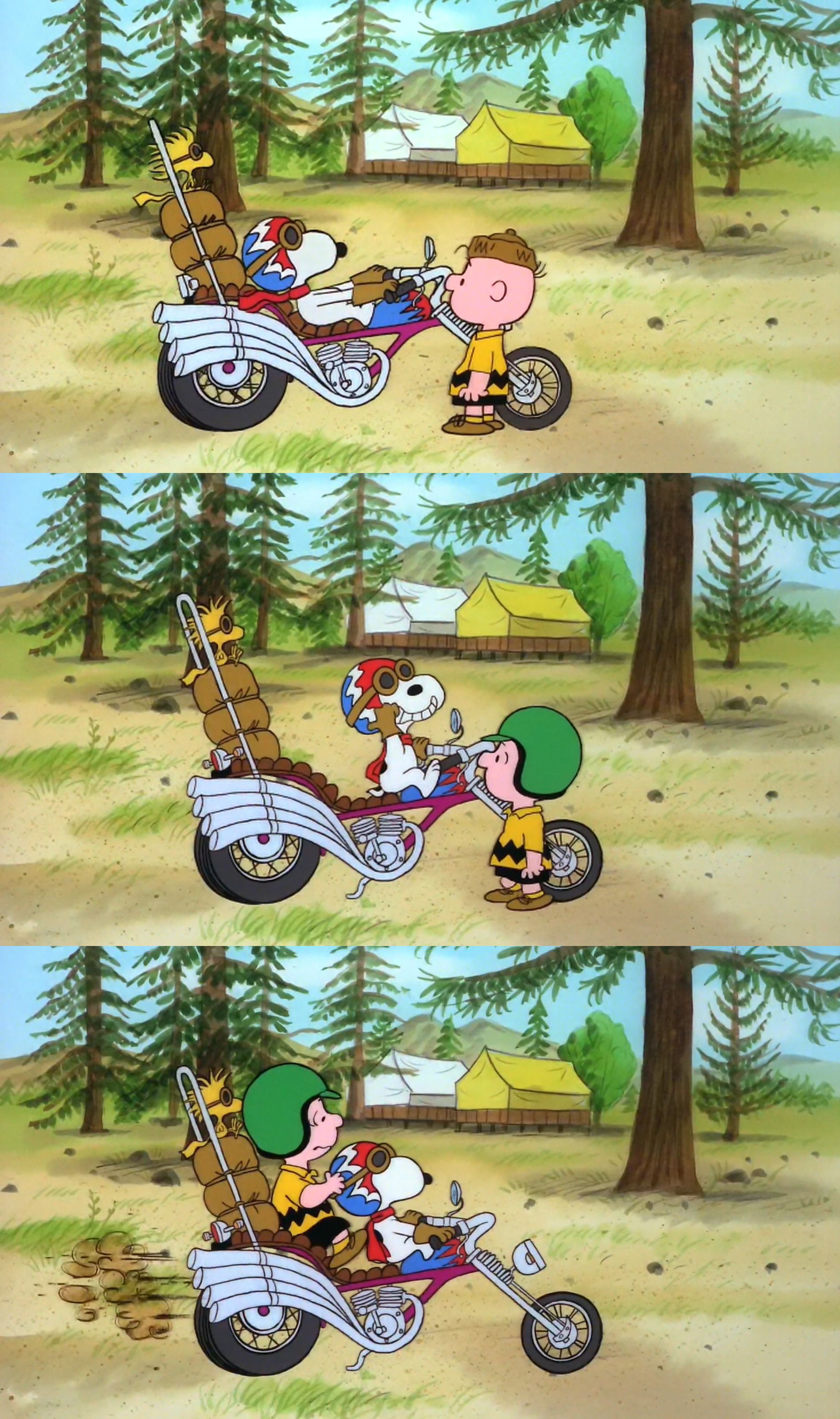 史努比的惊险夏令营剧照的剧照