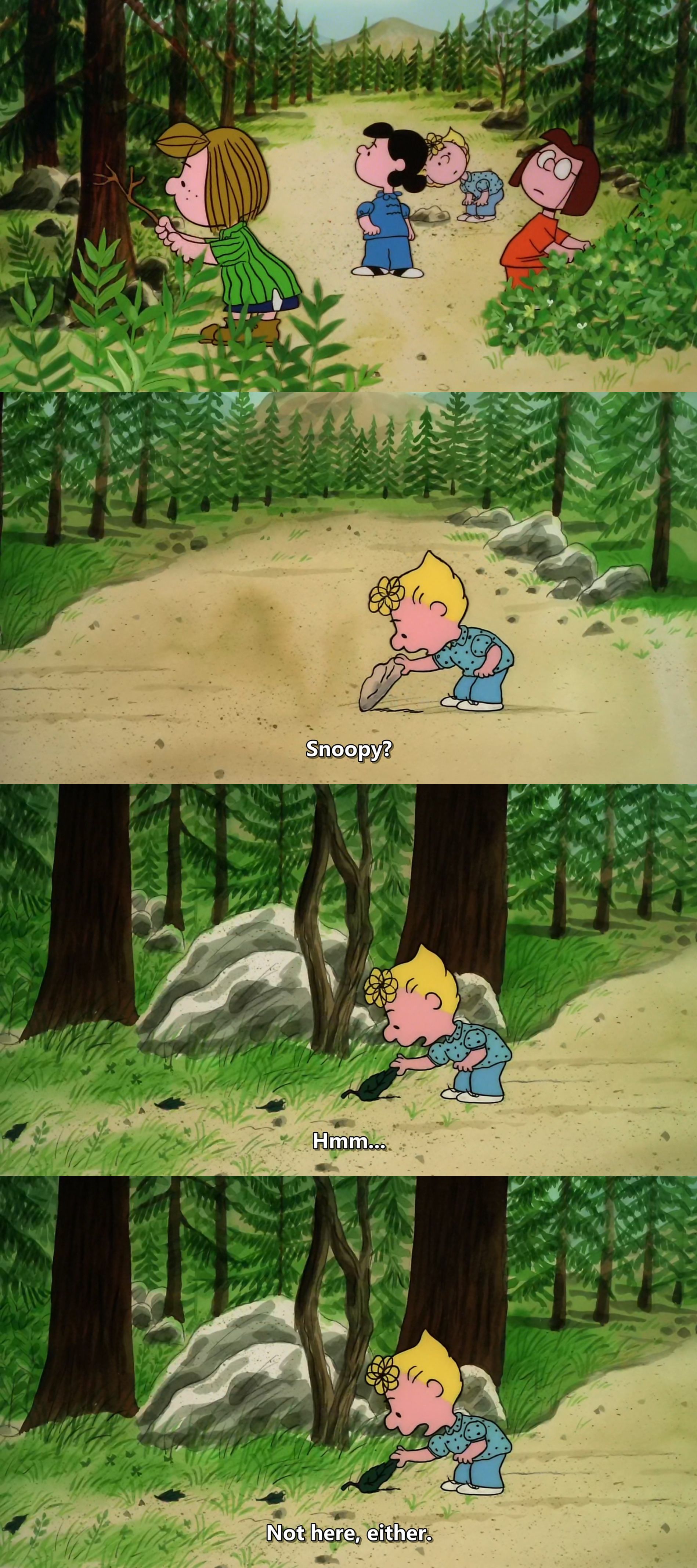 史努比的惊险夏令营剧照的剧照