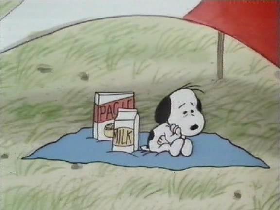 史努比的惊险夏令营剧照的剧照