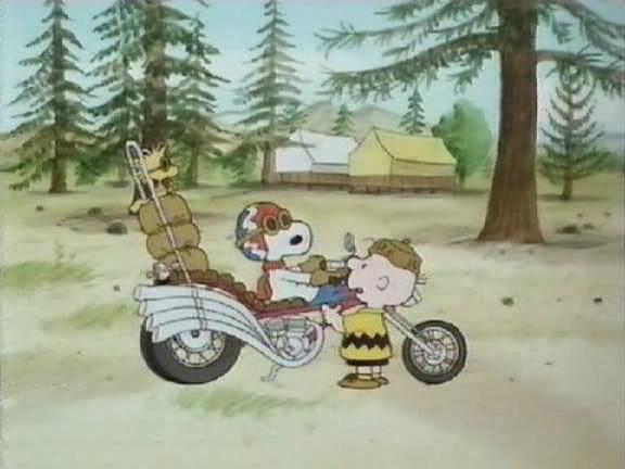 史努比的惊险夏令营剧照的剧照