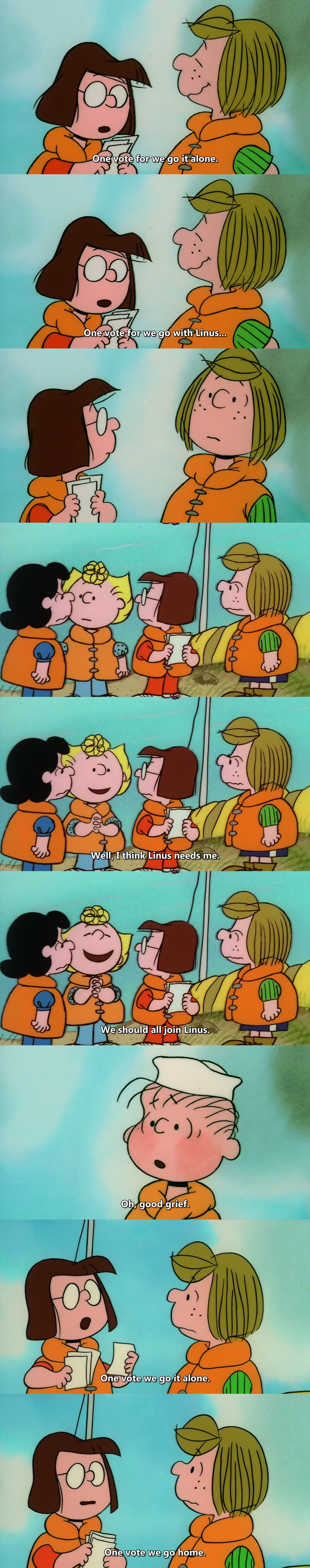 史努比的惊险夏令营剧照的剧照